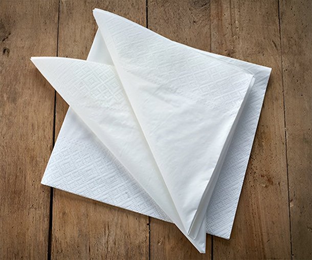 NAPKIN